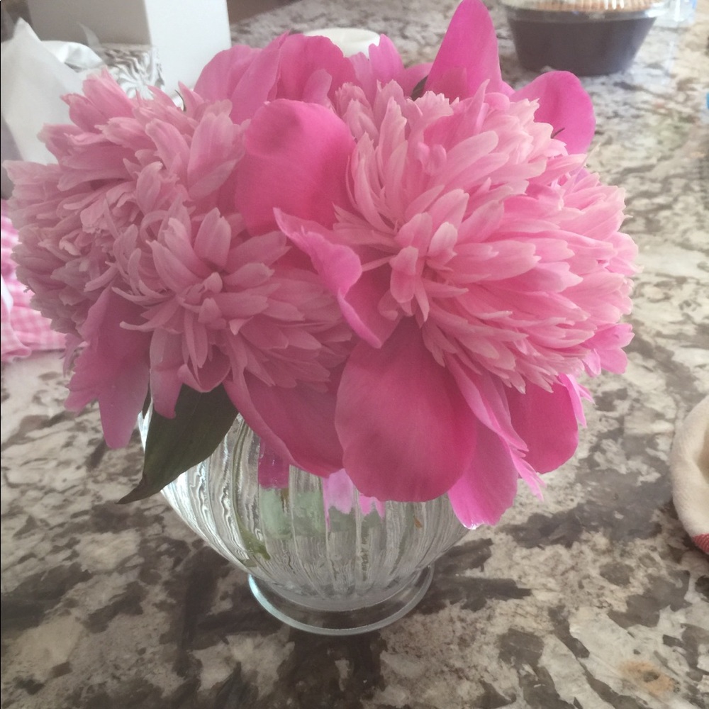 Meet your Posher, Stacy